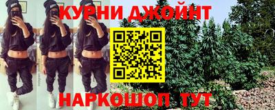 spice Тара