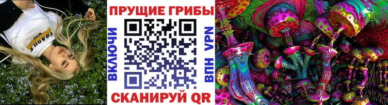 маркетплейс какой сайт ссылка на мегу сайт Североморск продажа наркотиков Галлюциногенные грибы мицелий