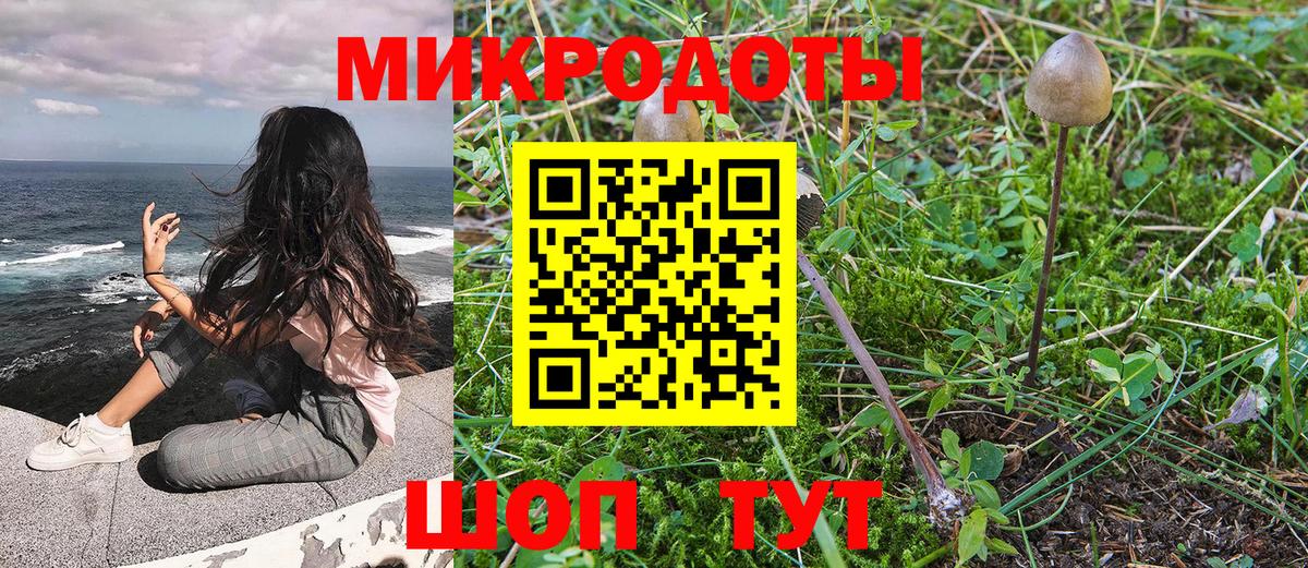 Псилоцибиновые грибы мухоморы Североморск