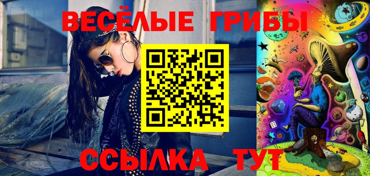 Североморск  Галлюциногенные грибы прущие грибы  Вход с VPN 