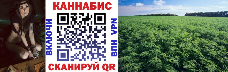 где продают   Североморск  Марихуана ГИДРОПОН 